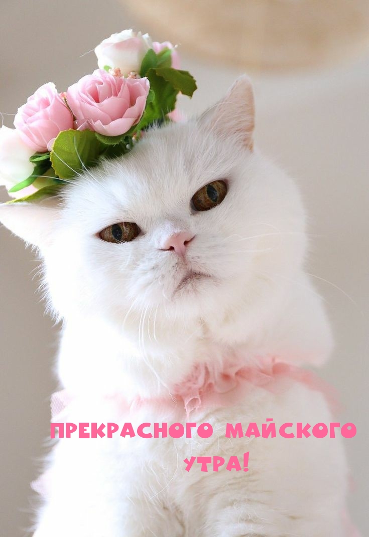   !