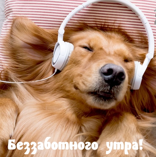  !