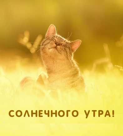 Открыть в полном размере Солнечного утра!