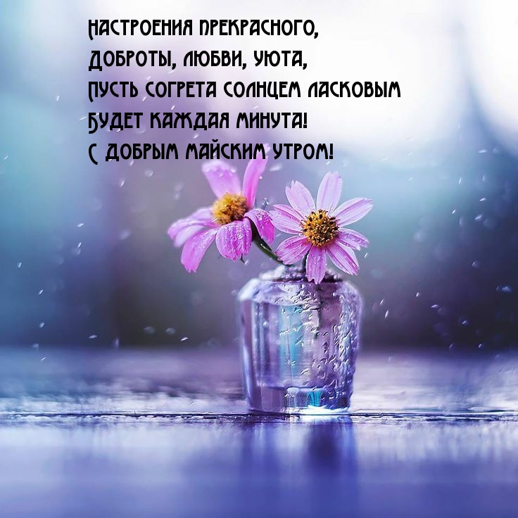    !  !