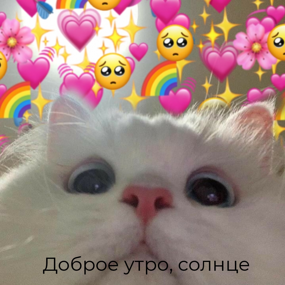 Доброе утро, солнце