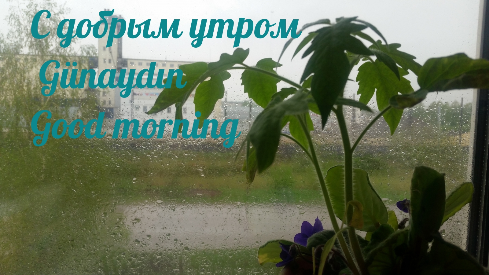   ! Günaydın! Good morning!
