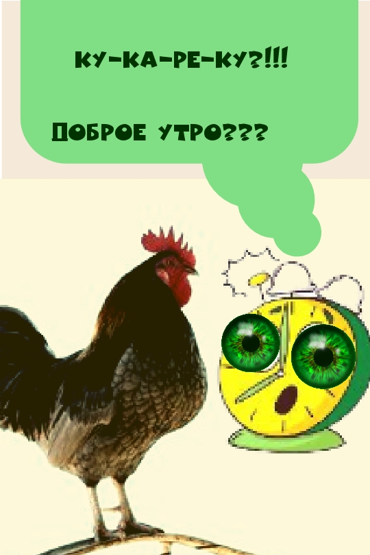 ��-��-��-��?! ������ ����???