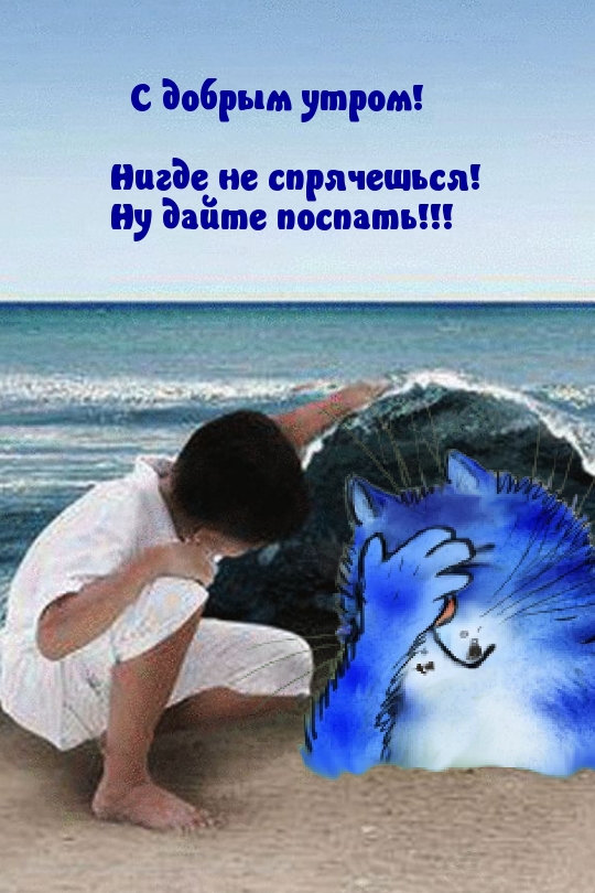   !   !