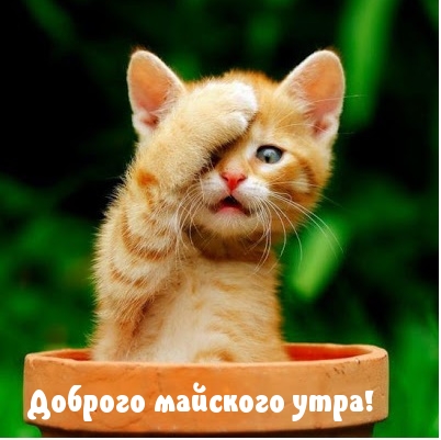   !