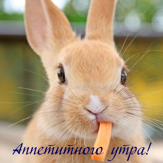  !