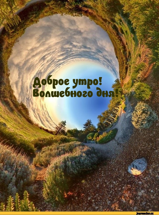  !  !