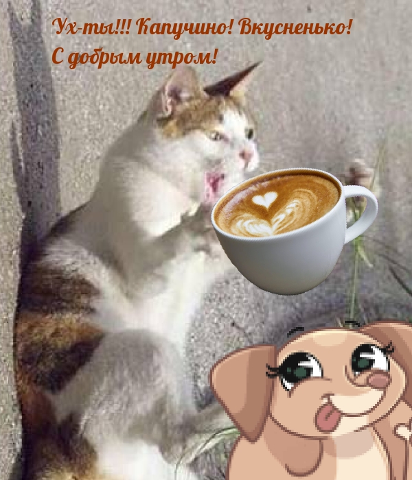 -! ! !   !