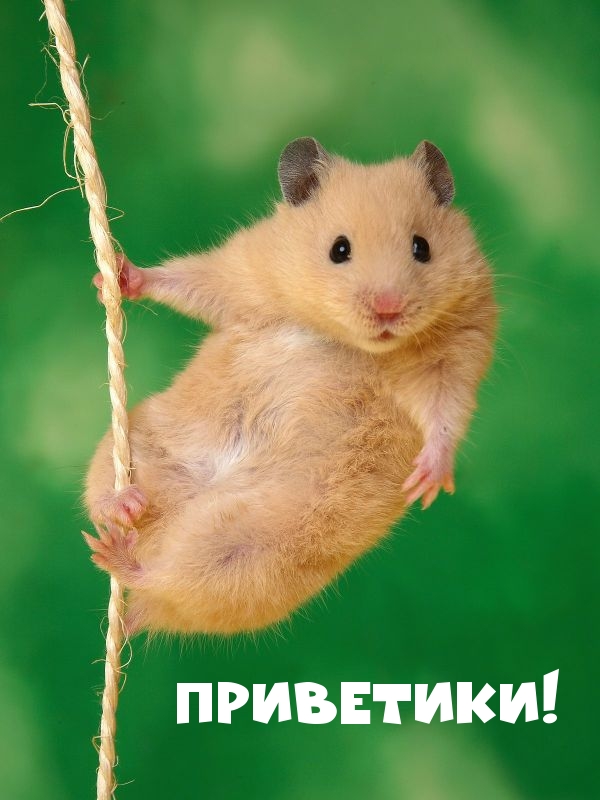 ���������!