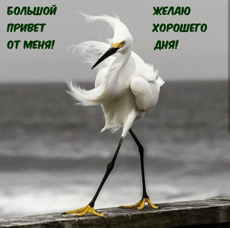    !