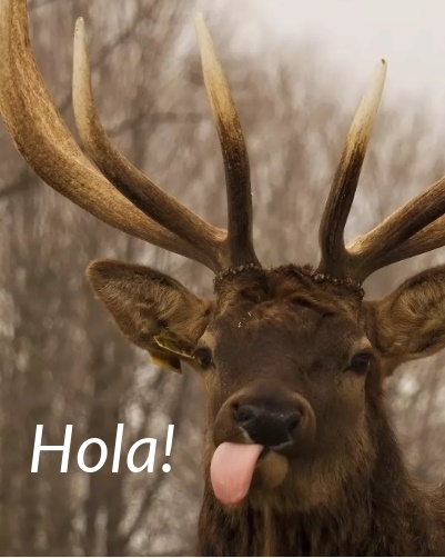 Hola!