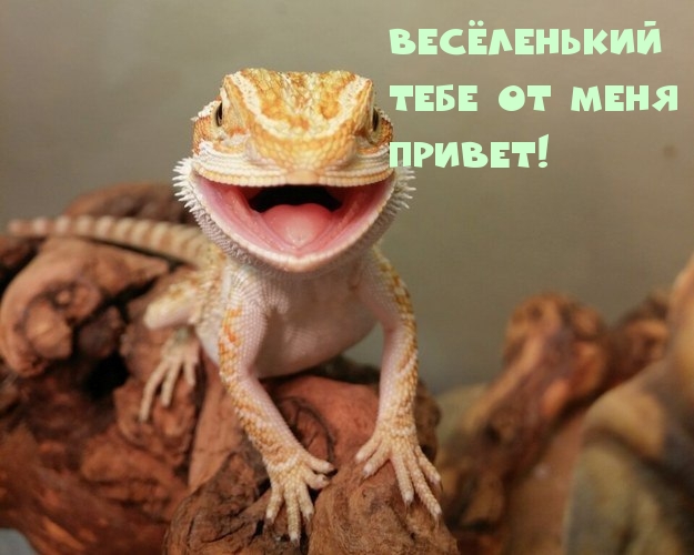    !