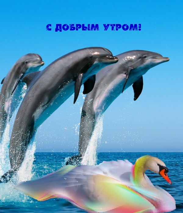   !