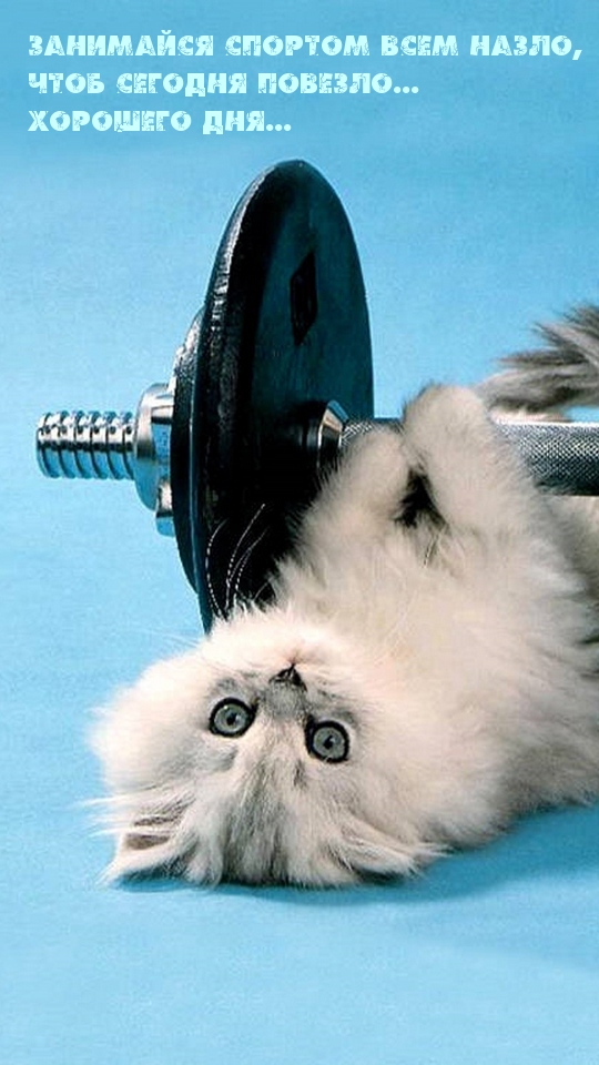 ��������� ������� ���� �����, ���� ������� �������...