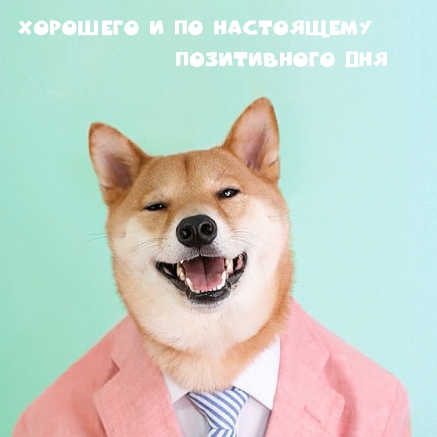 �������� � �� ���������� ����������� ���