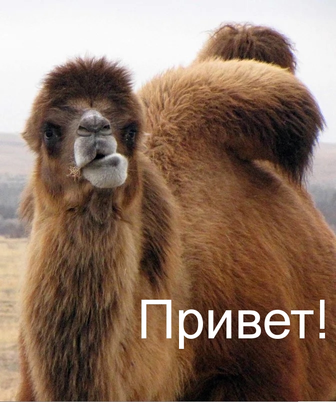 Открыть в полном размере Привет!