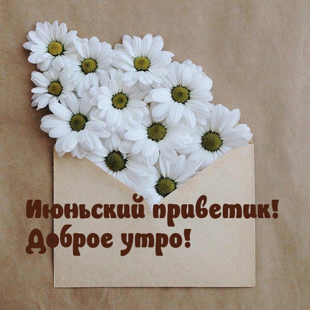 �������� ��������! ������ ����!