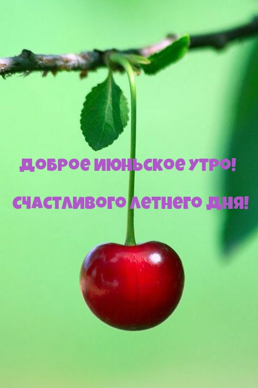   !   !