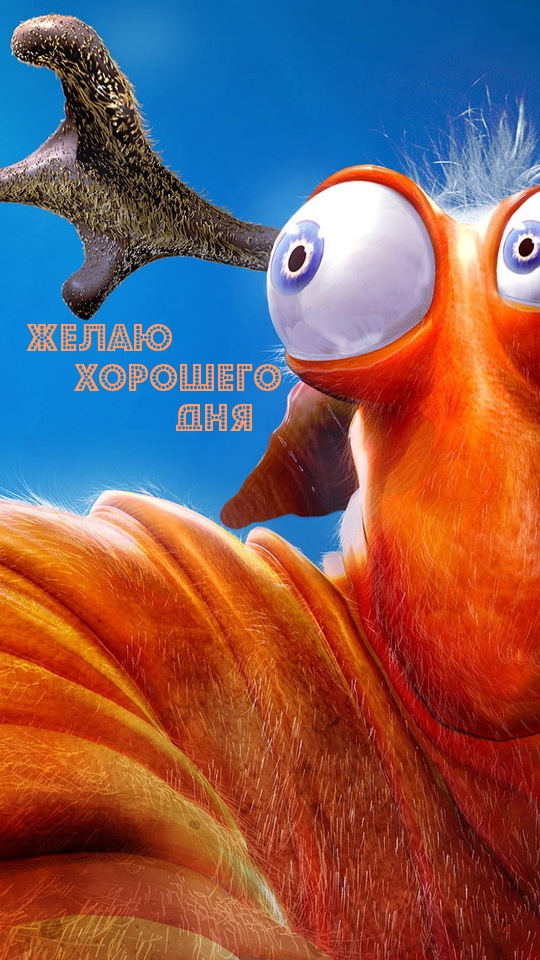 ����� �������� ���