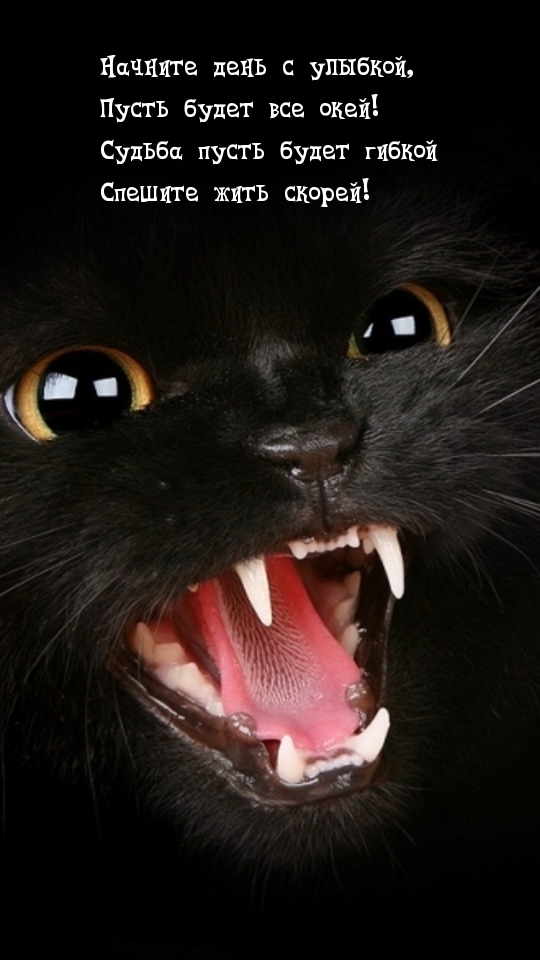 ������� ���� � �������, ����� ����� ��� ����!