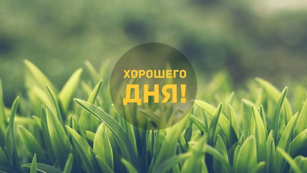 Хорошего дня! В круге