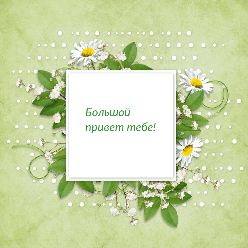 ������� ������ ����!