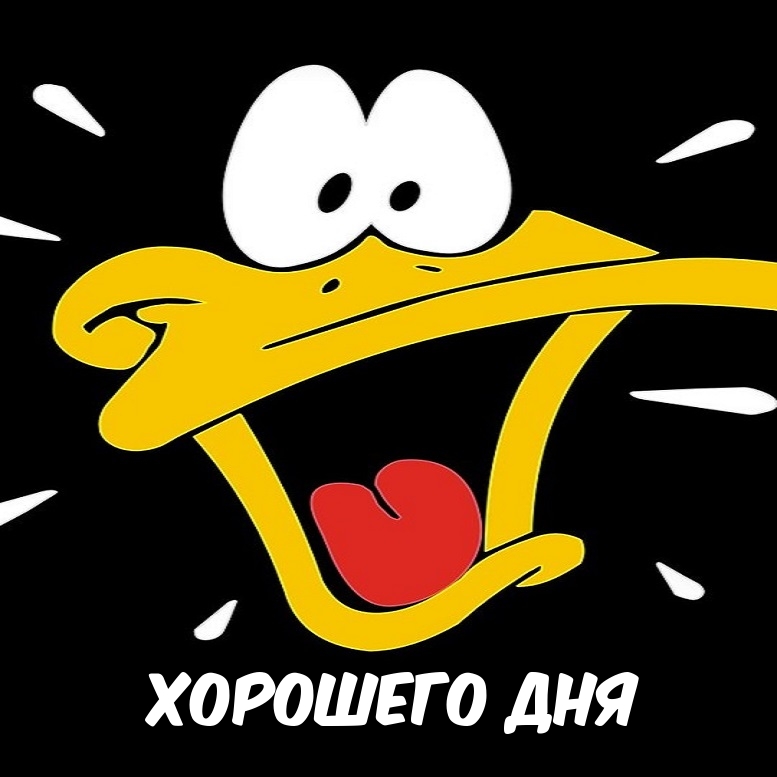 �������� ���