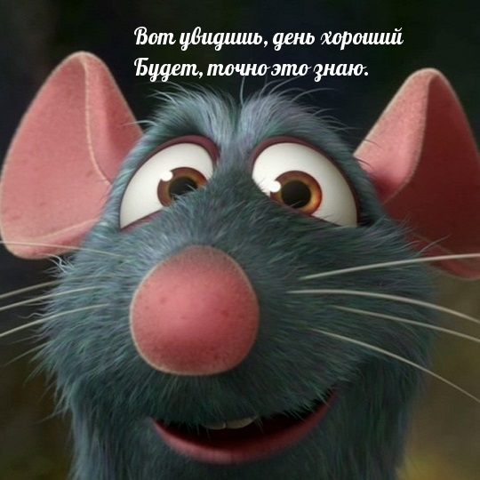  ,   ,   .