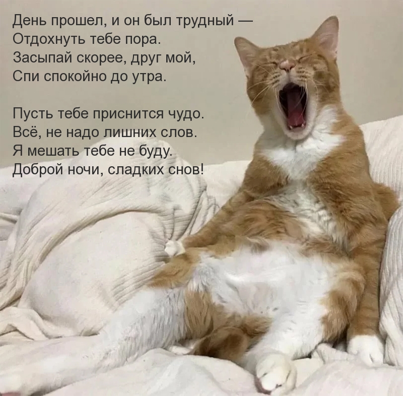      ,  !