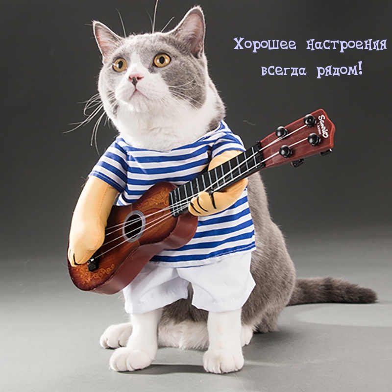 Хорошее настроения всегда рядом!