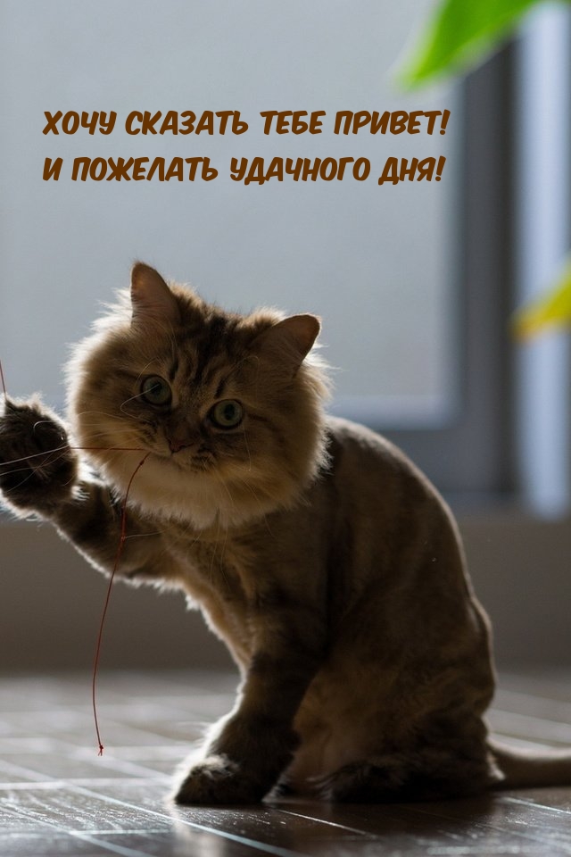    !    !
