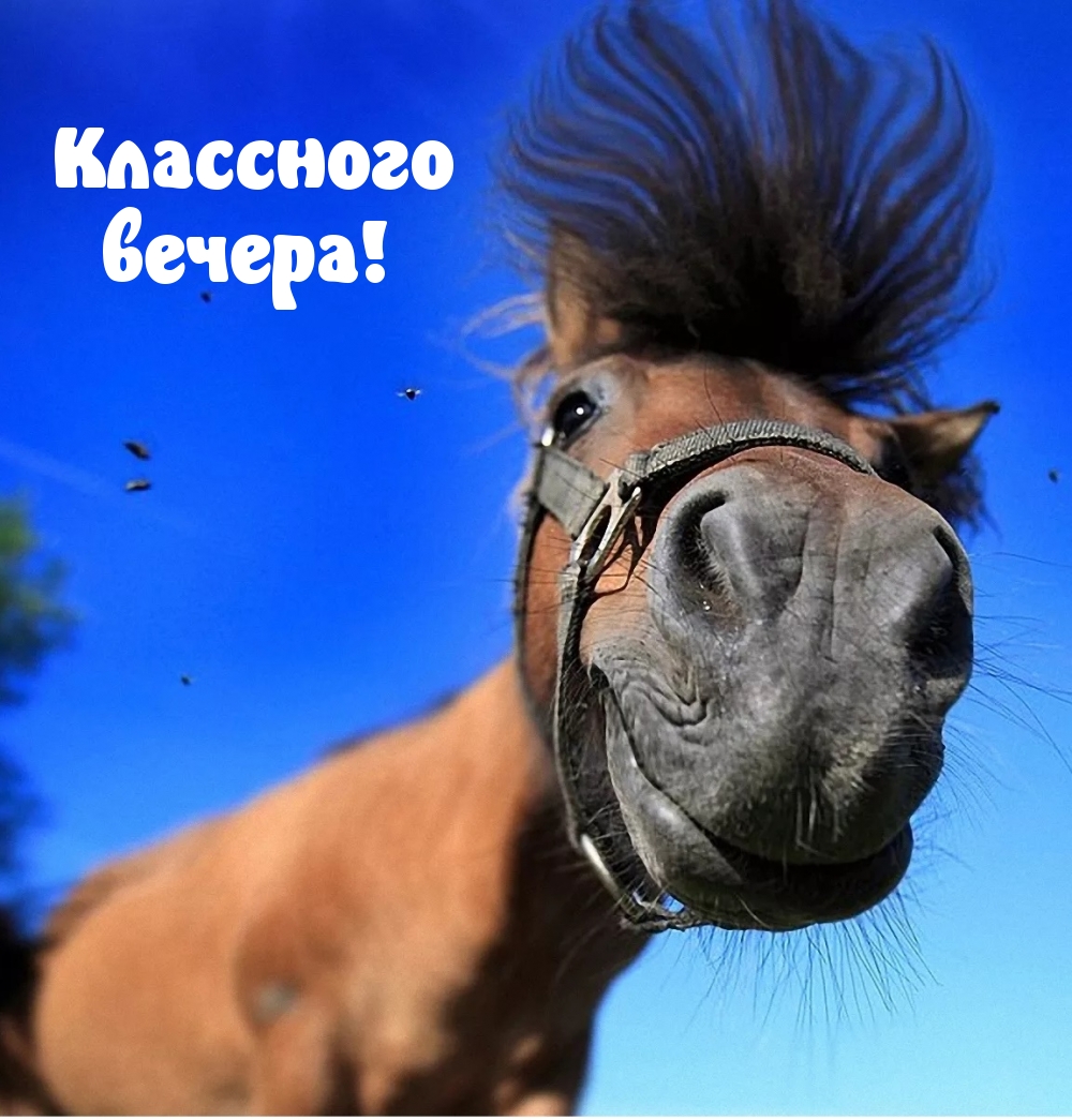 ��������� ������!