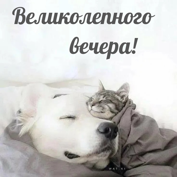  !
