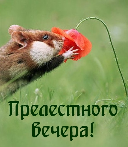  !
