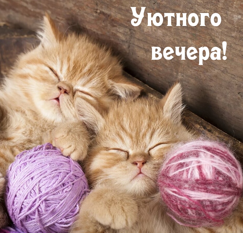 Уютного вечера!