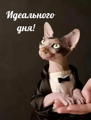  !