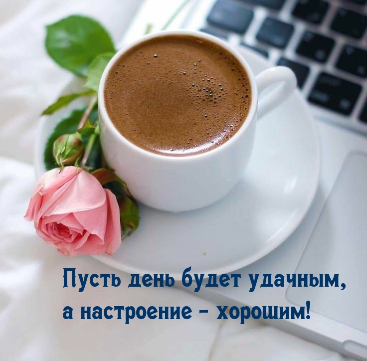    ,   - !