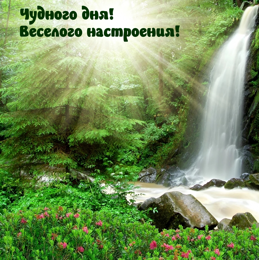Открыть в полном размере Чудного дня! Веселого настроения!