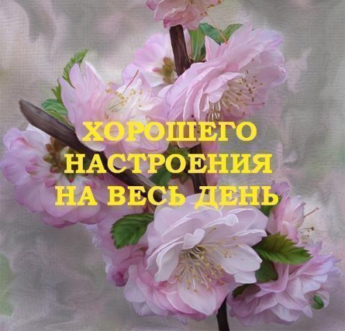     !