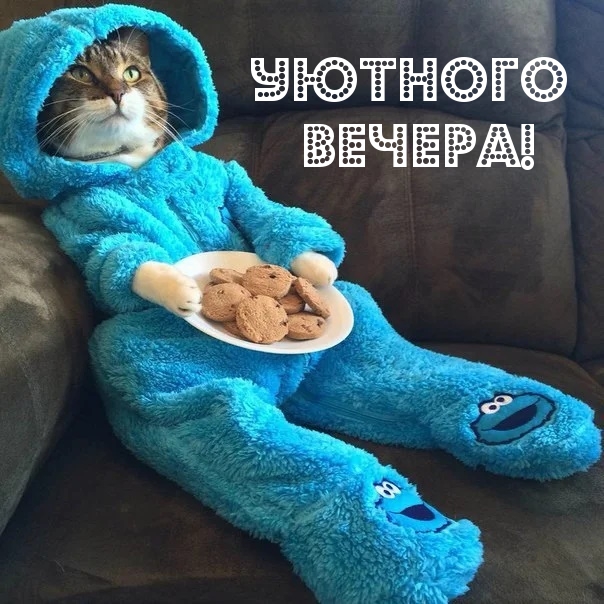 Открыть в полном размере Уютного вечера!