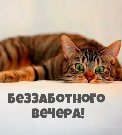  !