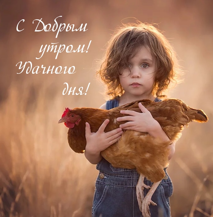 � ������ �����! �������� ���!