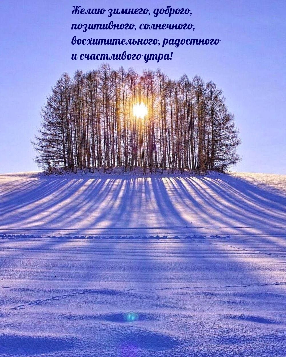 �������, �������,  ����������� ����!