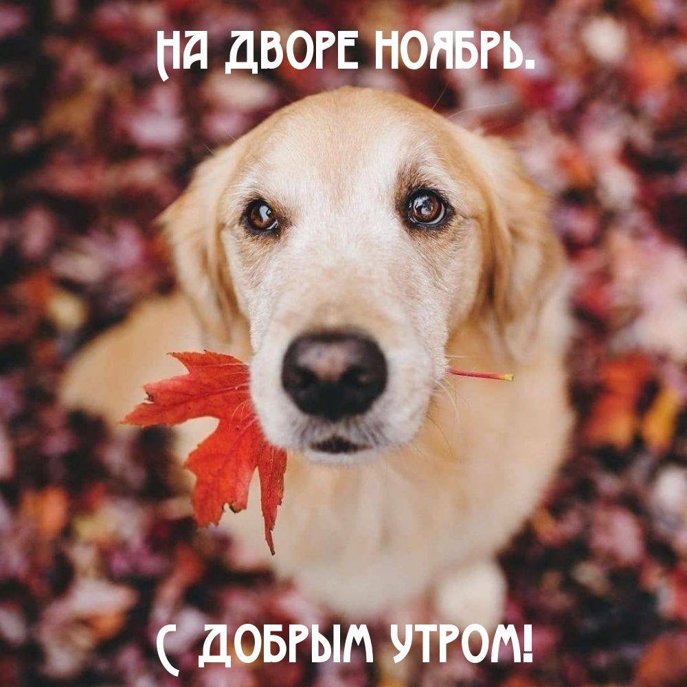   .   !