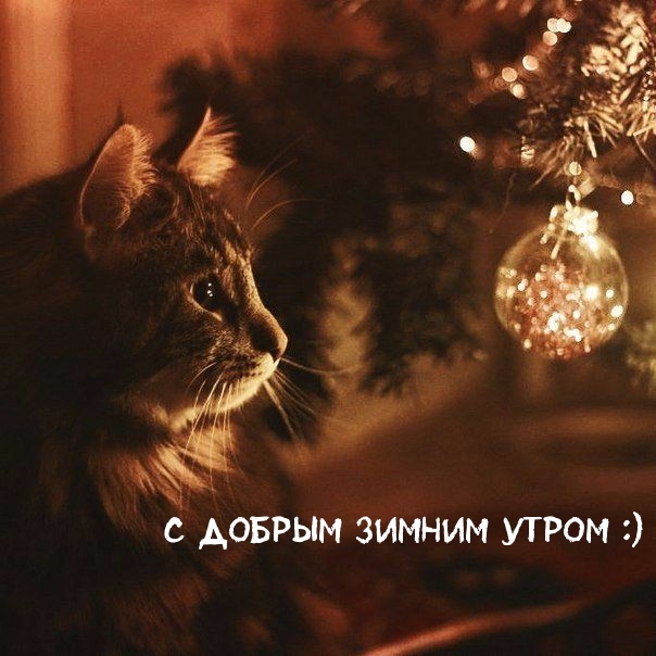     :)