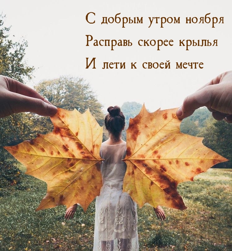    !  !