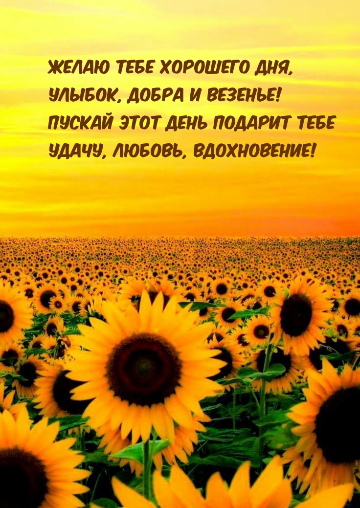 Открыть в полном размере Желаю тебе хорошего дня! Улыбок и везения!
