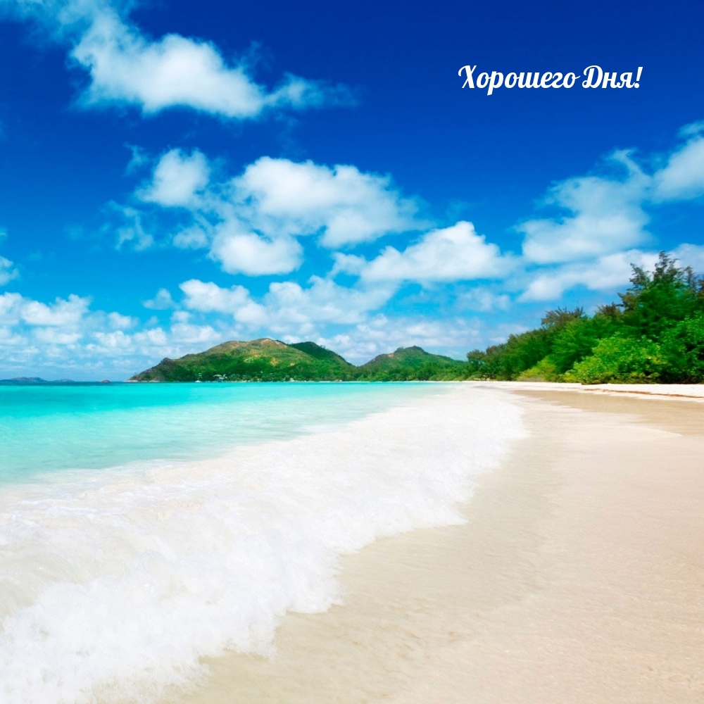 Хорошего Дня! Хорошего Дня!