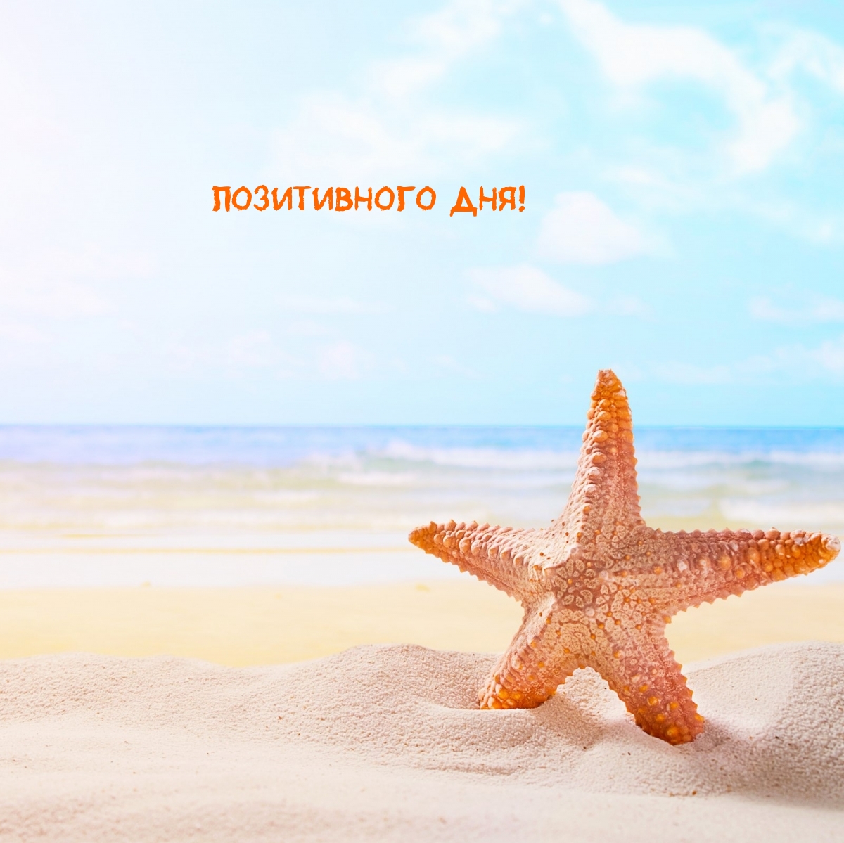 ����������� ���!