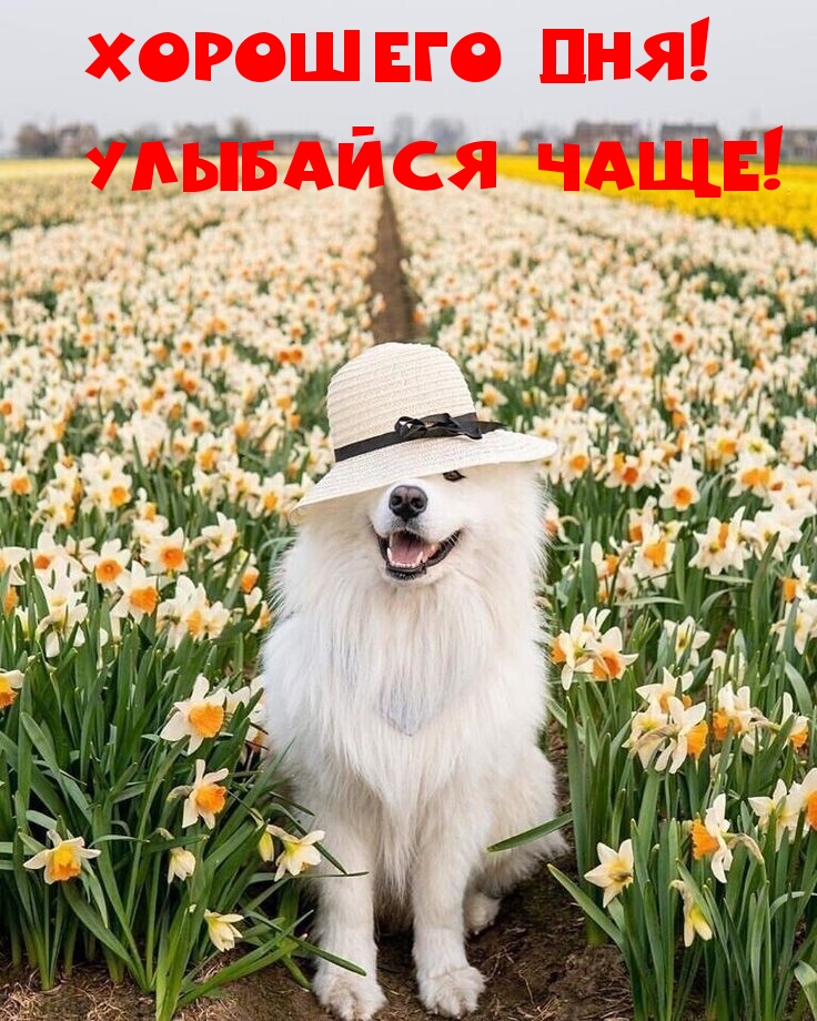  !  !